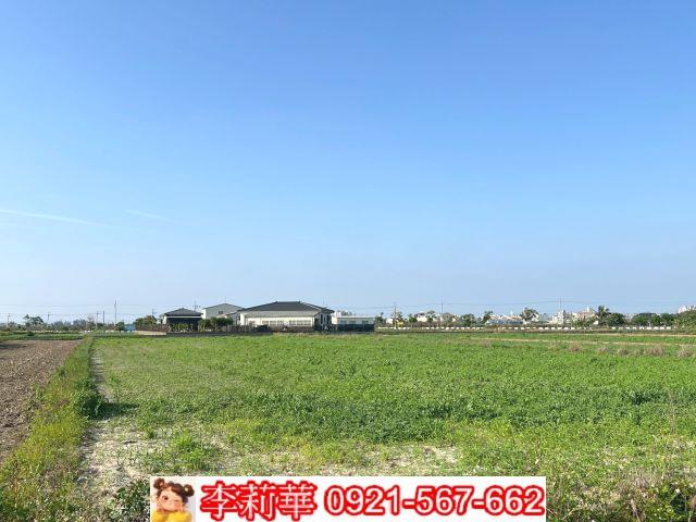 台南佳里農地-10