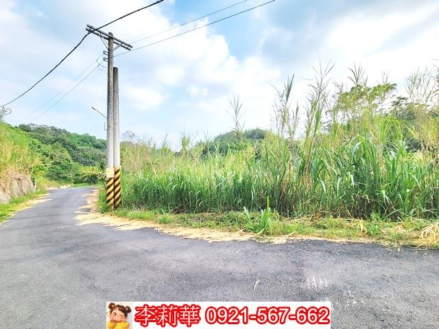 新化林地-2