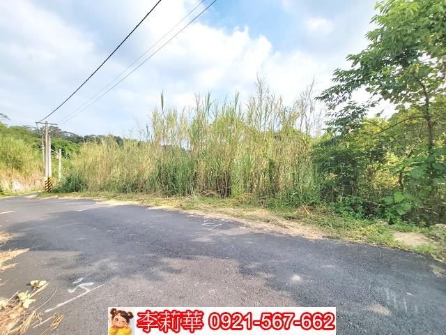 新化林地-5
