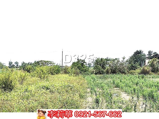 新營農地-7