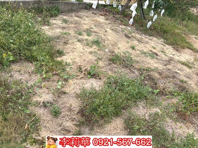 新化建地-4