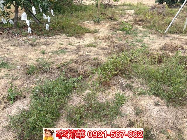新化建地-5