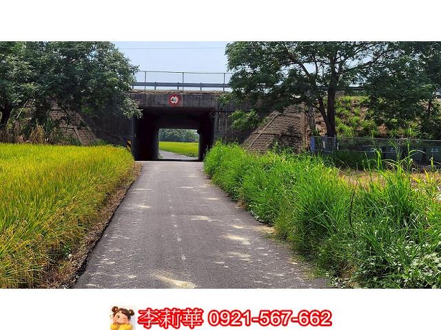 台南農地-2