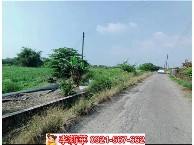 新市農地-10