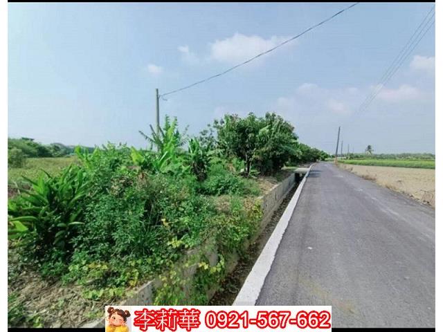 新市農地-5