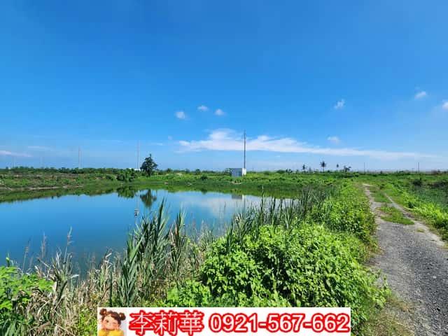 學甲養殖地-5