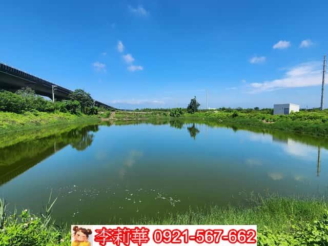學甲養殖地-7