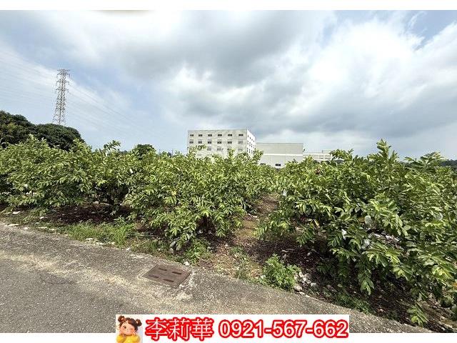山上工業地-5
