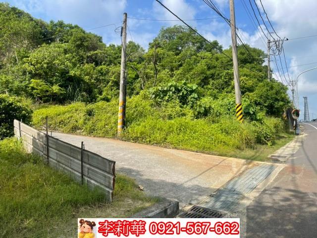 玉井農地-3