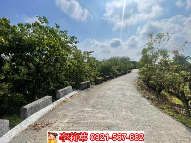 玉井農地-7