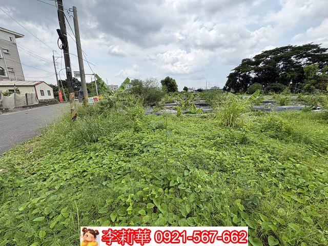 台南新市農地-2