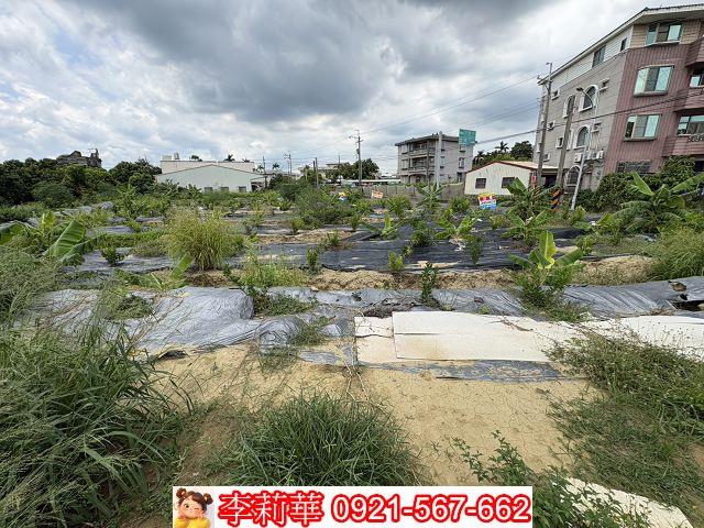 台南新市農地-6