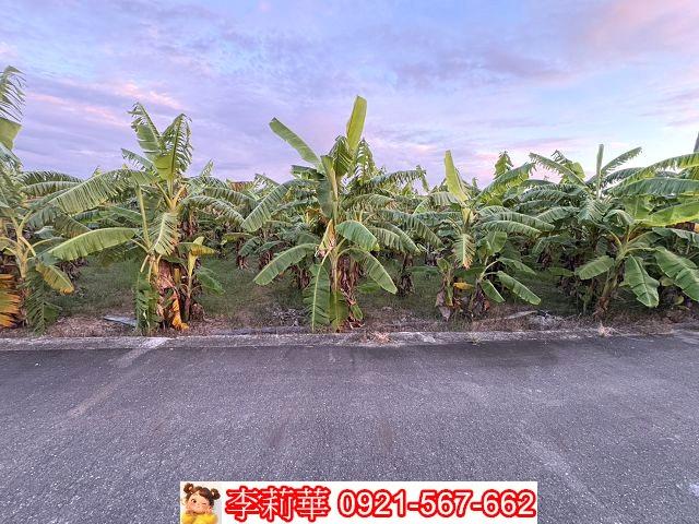 台南新市農地-7