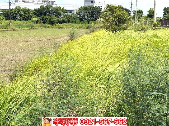 台南善化農地-2
