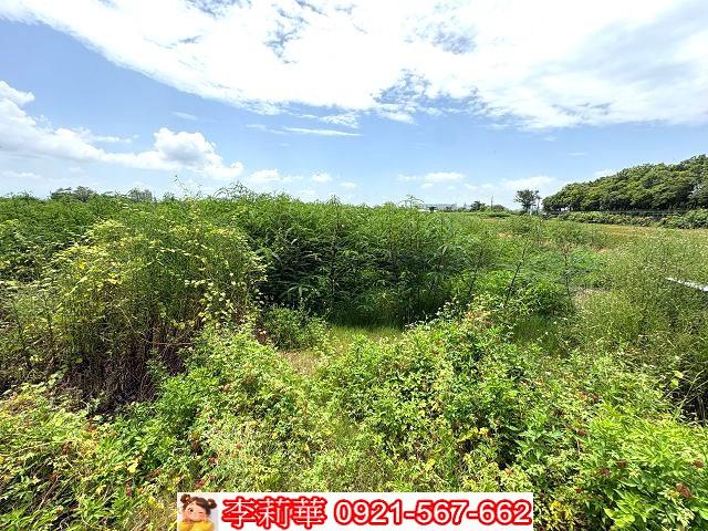 台南善化農地-5