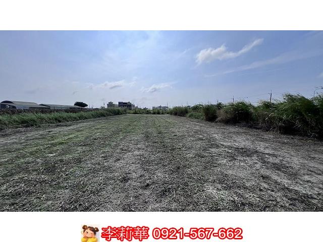 台南將軍農地-8