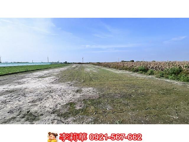 台南將軍農地-9