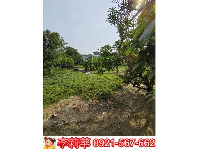 高雄岡山農地-9