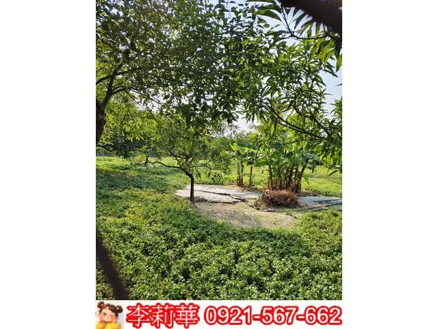 高雄岡山農地-10