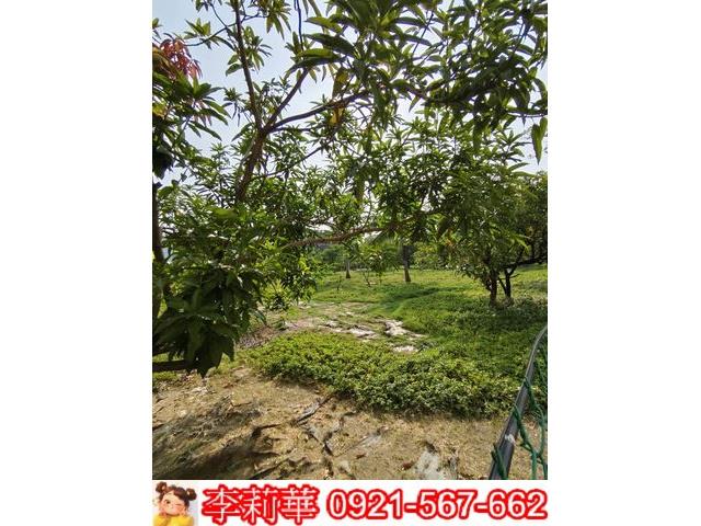 高雄岡山農地-6