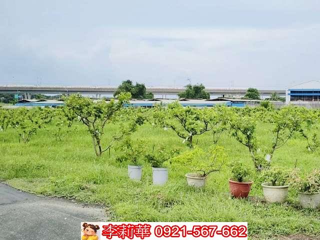 台南歸仁農地-3
