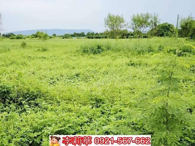 台南歸仁農地-7