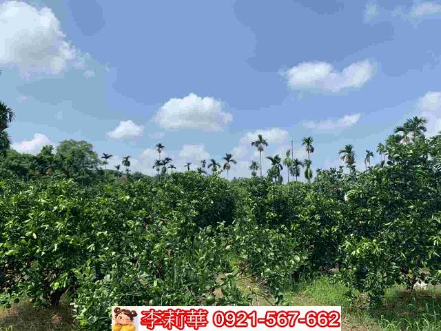 台南白河農地-12
