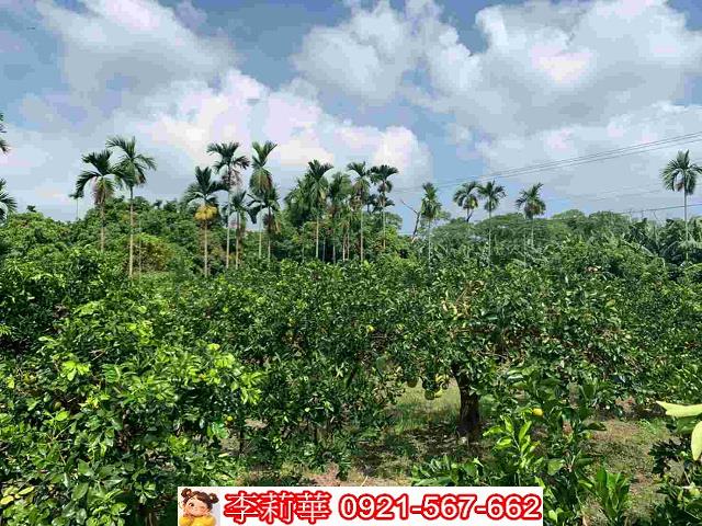 台南白河農地-13
