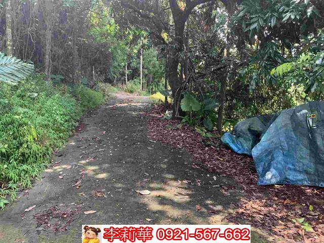台南白河農地-4