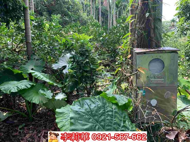 台南白河農地-6