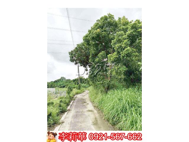 大內農地-2