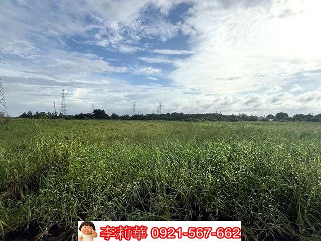 新化農地-8