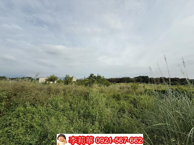 台南玉井農地-4