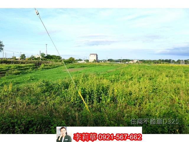 柳營農地-9