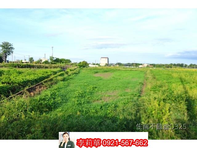 柳營農地-4
